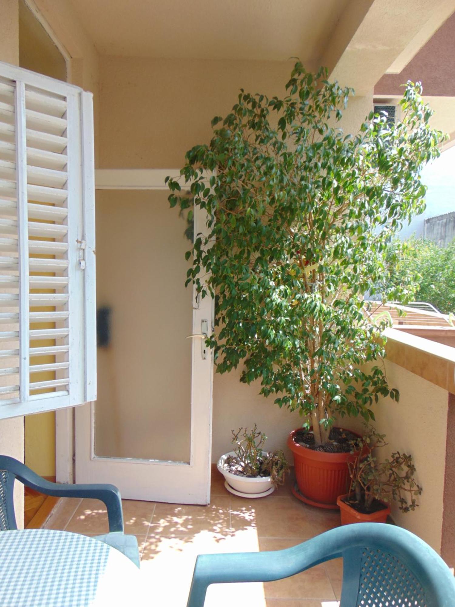 Guest House Ivan Budva Ngoại thất bức ảnh